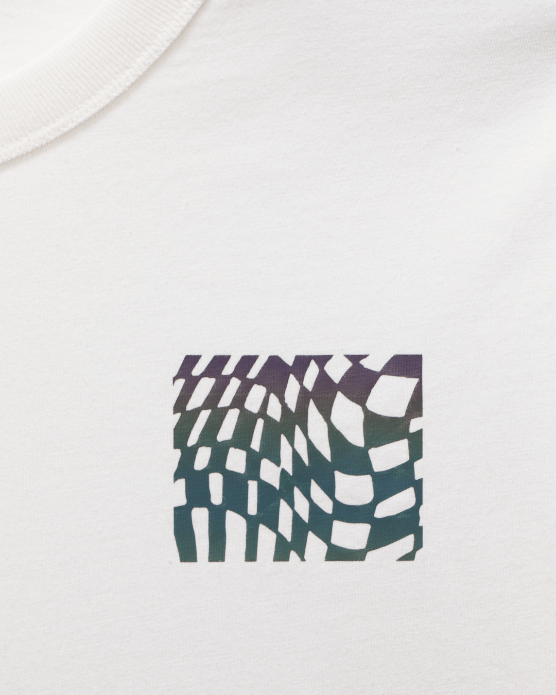 Women Vans Wildthorn Reflective T-Shirt in Cream White