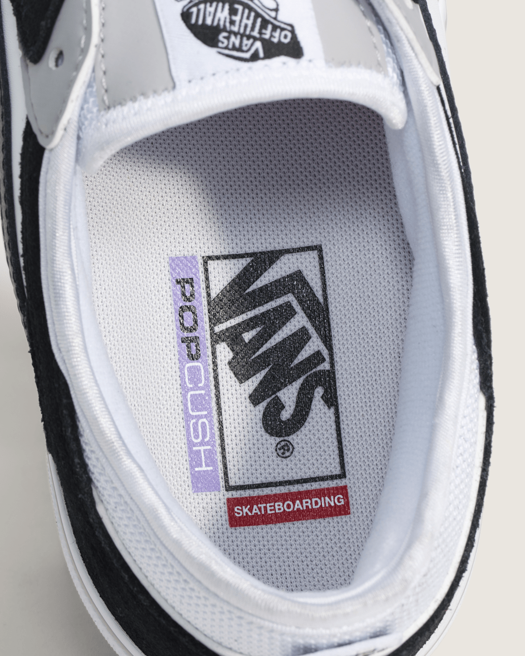 Women|Men Vans Skate Rowley Shoe in Black / White