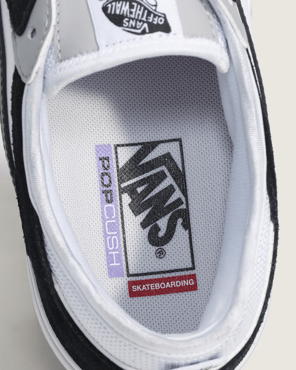 Women|Men Vans Skate Rowley Shoe in Black / White