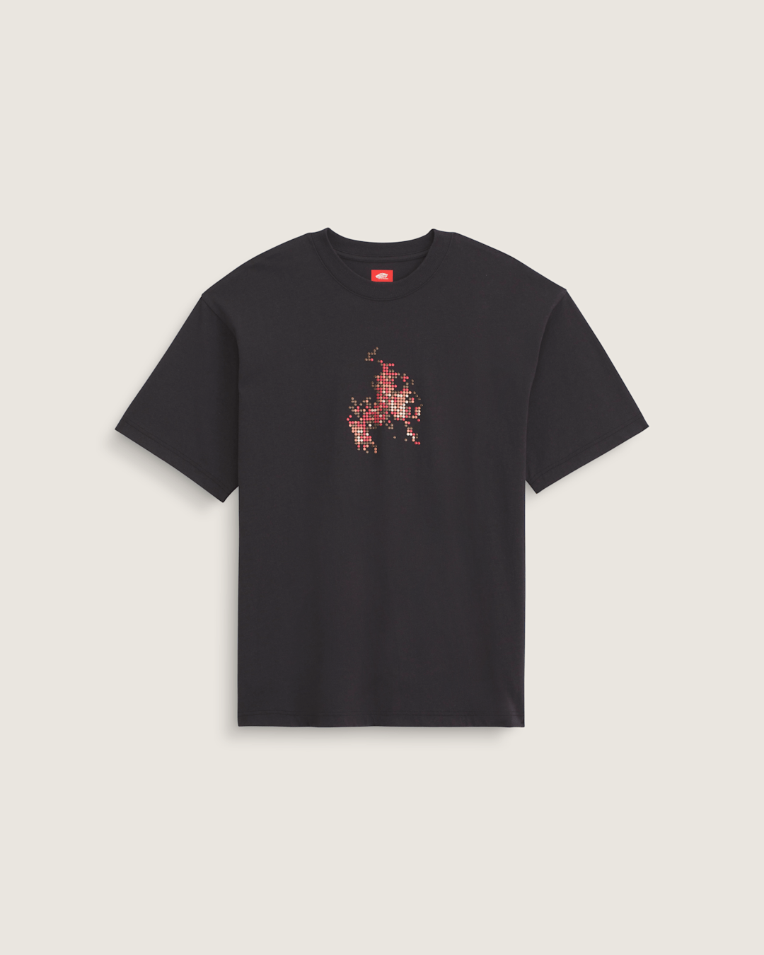 Women|Men Vans Skate Flame T-Shirt in Black