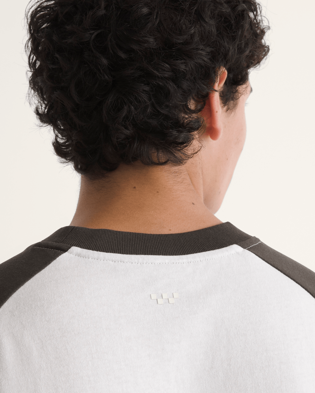 Men Vans Standard Raglan T-Shirt in Faded Black / Egret White