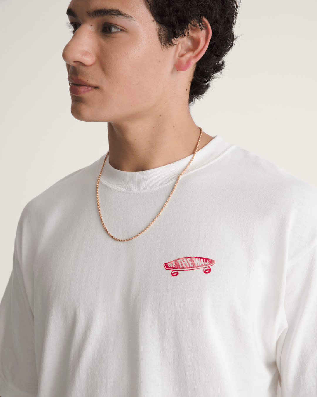 Men Vans Premium Full Deck T-Shirt in Egret White