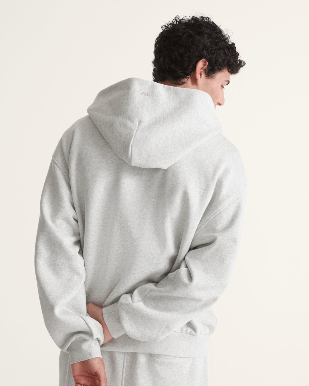 Men Vans Premium Zip Hoodie in Ash Heather Grey