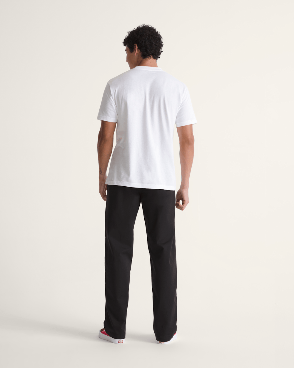 Men Vans Authentic Chino Straight Pant in Black