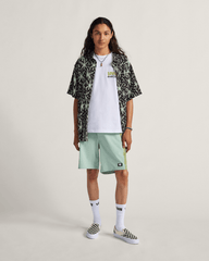 Men Vans Daily 18'' Boardshorts in Grey Olive Green