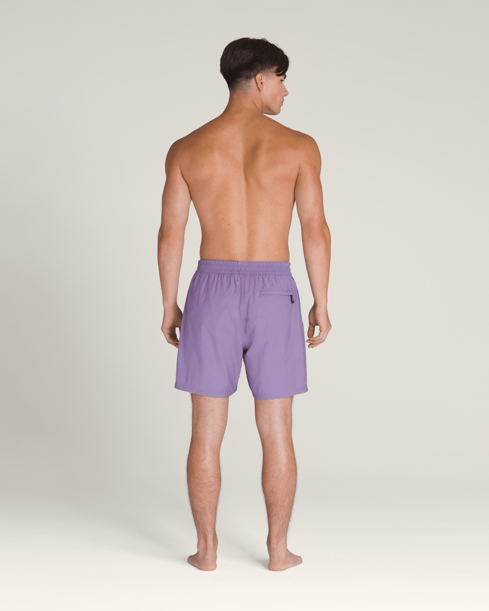 Men Vans Primary Solid Elastic 17'' Boardshorts in Purple Haze