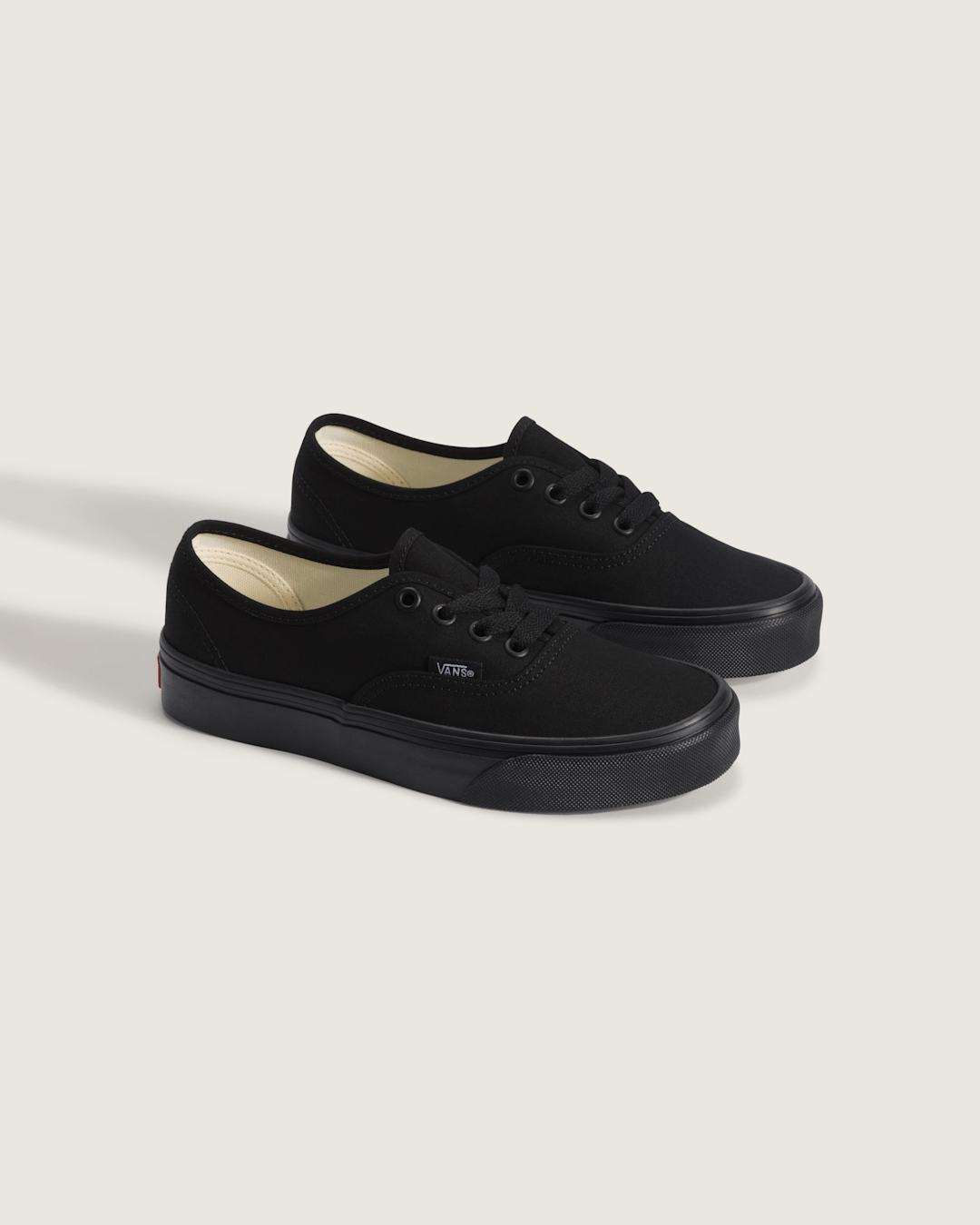 Kids Vans Big Kids Authentic Shoe in Blackout