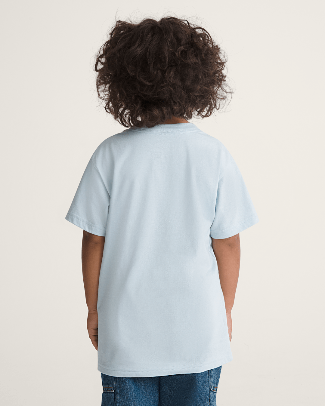 Kids Vans Little Kids Prehistoric Skater T-Shirt in Dawn Mist